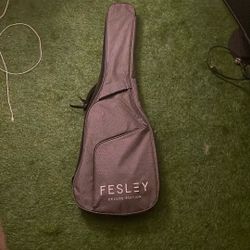 Fesley Guitar 