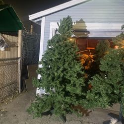 8 Ft Christmas Tree