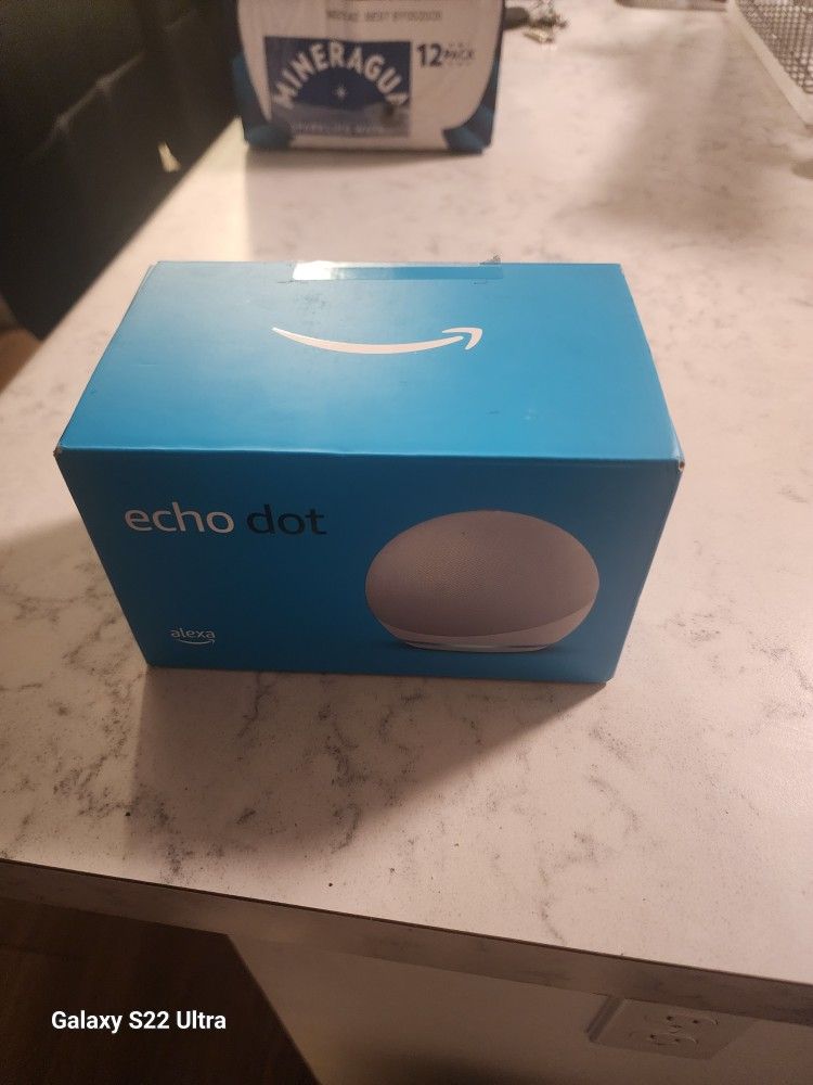 Echo Dog 4