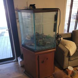 Fish Tank