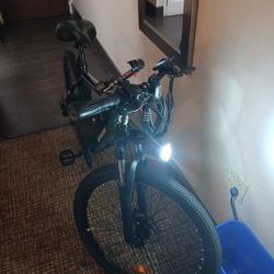 Electric Bike