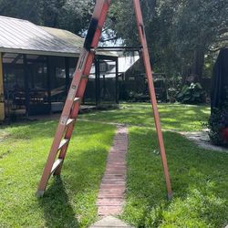 10ft Ladder A frame