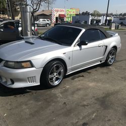 2000 Ford Mustang