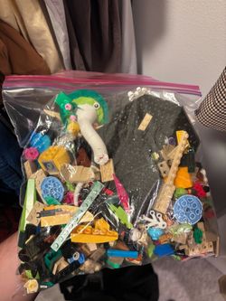 Bag of Legos (Bug Set?)