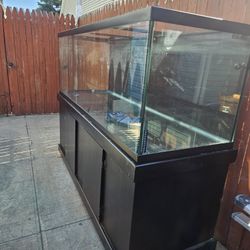 210 Gallon Aquarium 