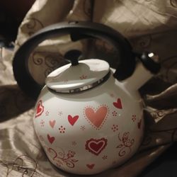 Tea Kettle by Tara$30 local pickup Firm price fcfs