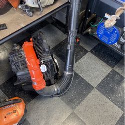 Echo Blower 