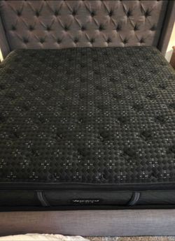 Beautyrest Black series 3 plush