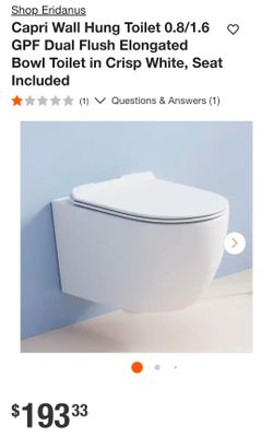 Wall Mounted Toilet