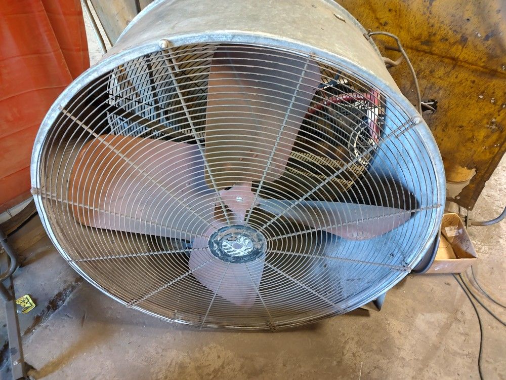 Lg. Shop Fan