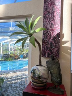Tropical plant bonsai