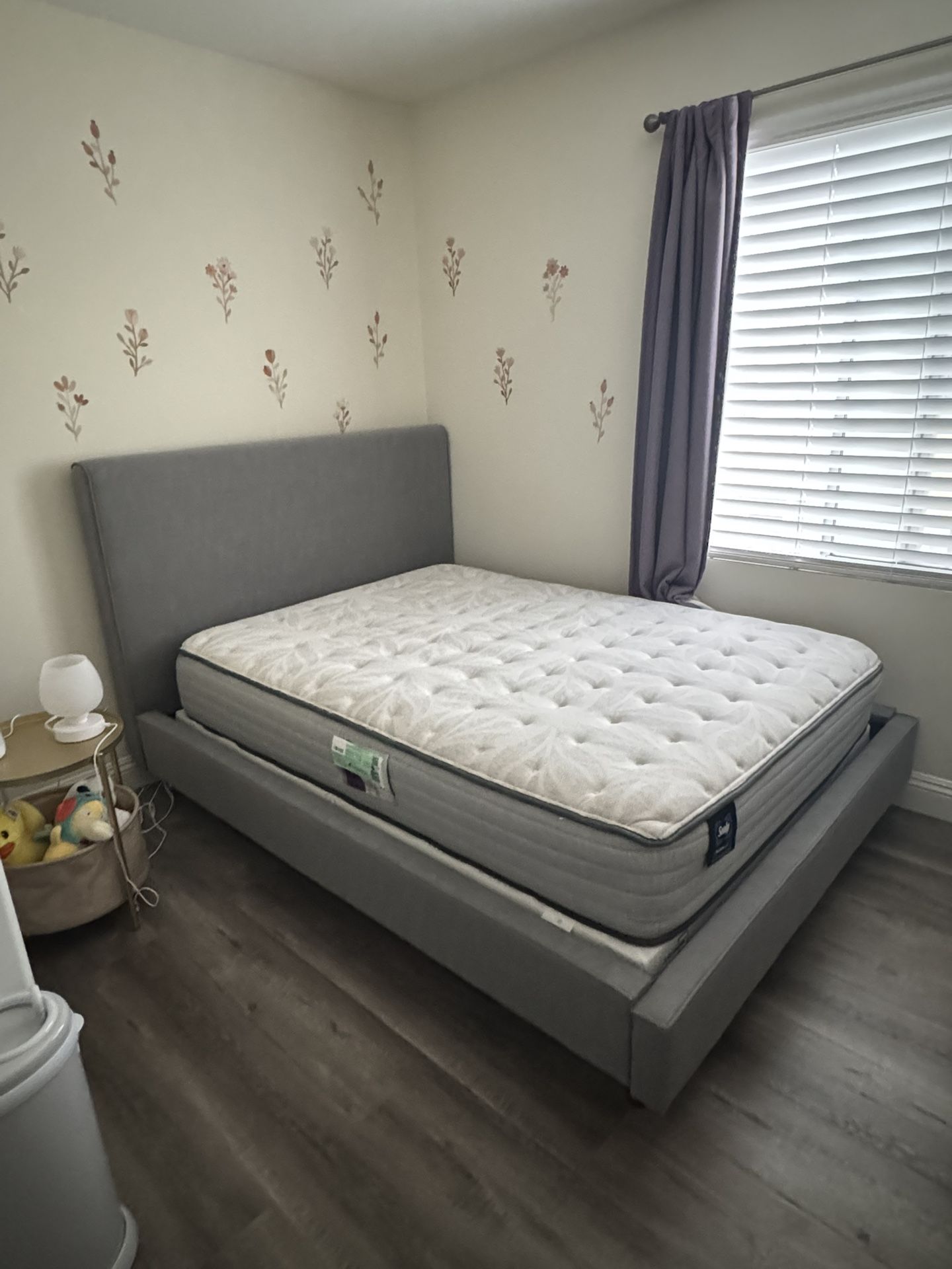 Full Size Bed (frame, box spring, mattress)