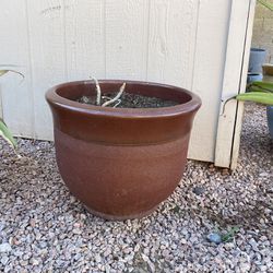 Ceramic Pot Comes Full Of Soil