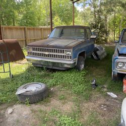 81 Scottsdale Shortbed