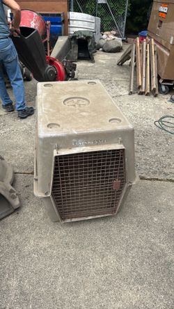 Dog house