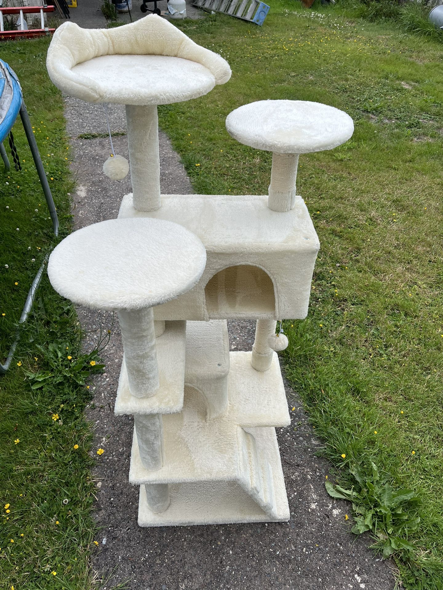 54” Beige Cat Tree (pending)