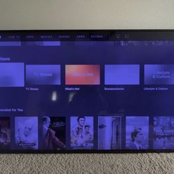 VIZIO 60" Class 4K UHD Smart TV HDR E-Series E60-E3.