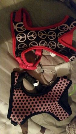 PETCO sm. Harnesses