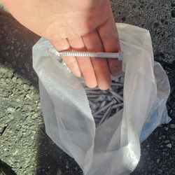 SDS Structural Framing Screws