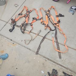 Harness 