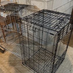 2 Large Dog Crates 