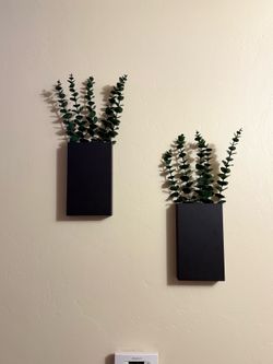 Wall Metal Plant Frames