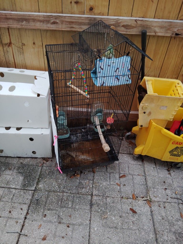 Bird Cage