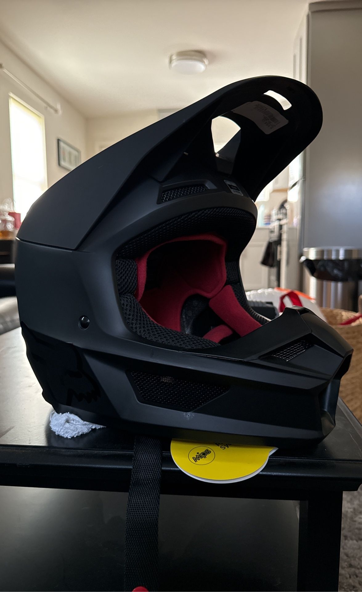 Fox Dirtbike Helmet