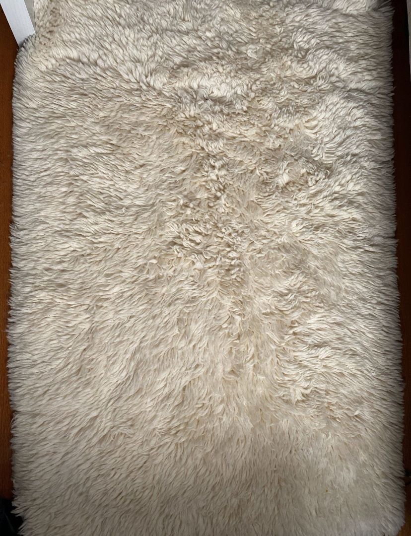 Pottery Barn 3x5’ Rug - Conrad Wool Handwoven Shag Rug