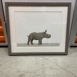 Rhino Picture 