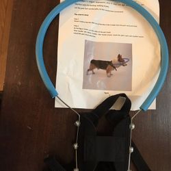 Dog Collision Collar 