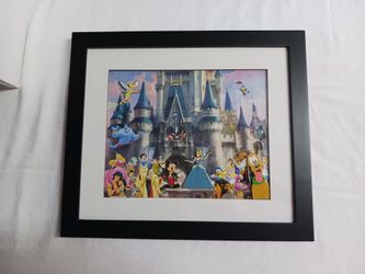 Disney framed castle photo with pins