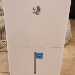 4000 sq.ft Dehumidifier with Drain Hose, 45 Pint
