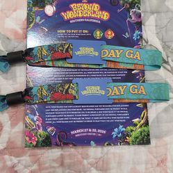 Beyond Wonderland tickets 2 day passes