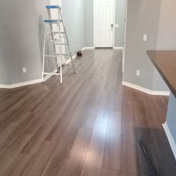 Interior Painting 