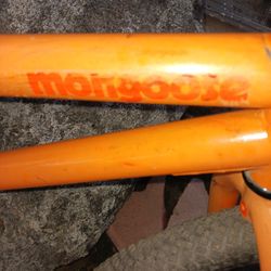 Moongoose Bike 