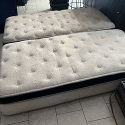 Lumina, Spirit, Adjustable Split King Matresses (used) 