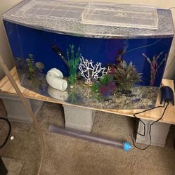 Acrylic Bow Fish Tank