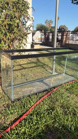 Fish tank , reptile tank