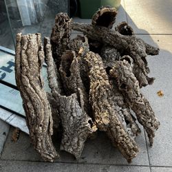 Cork Wood Reptile Bioactive Supplies