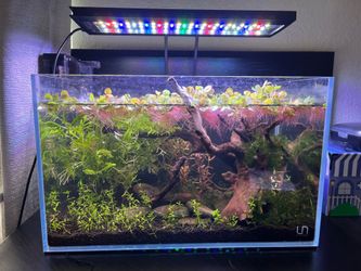 Nicrew Aquarium Light