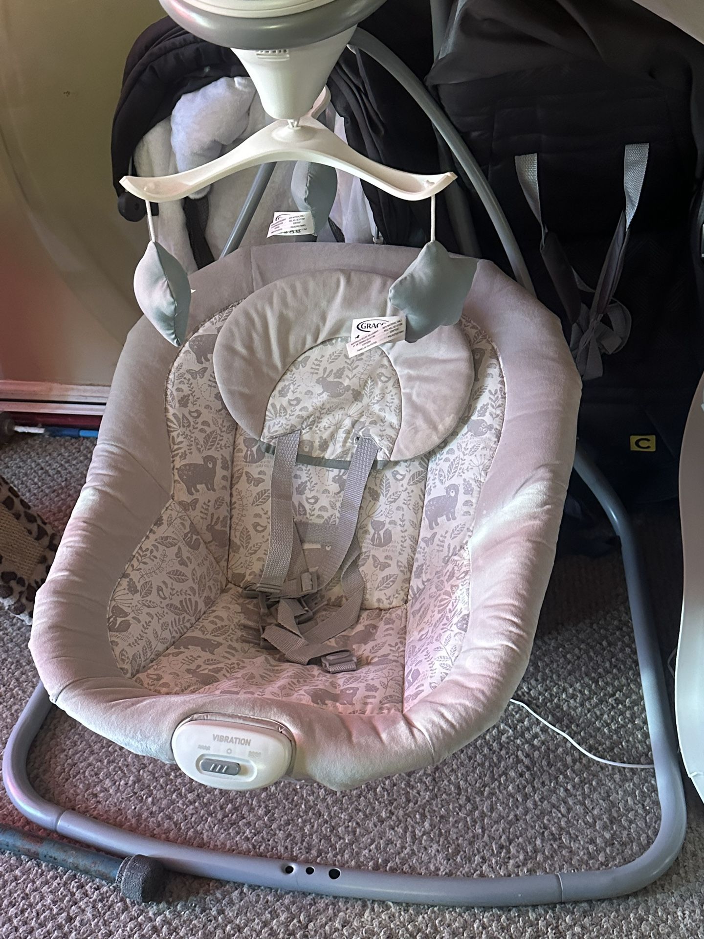 Graco Sway Swing