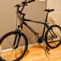 Raleigh Custom Mtb/BMX Bike Bicycle