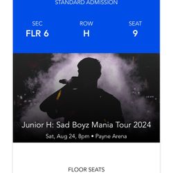 Junior H  1 Ticket 