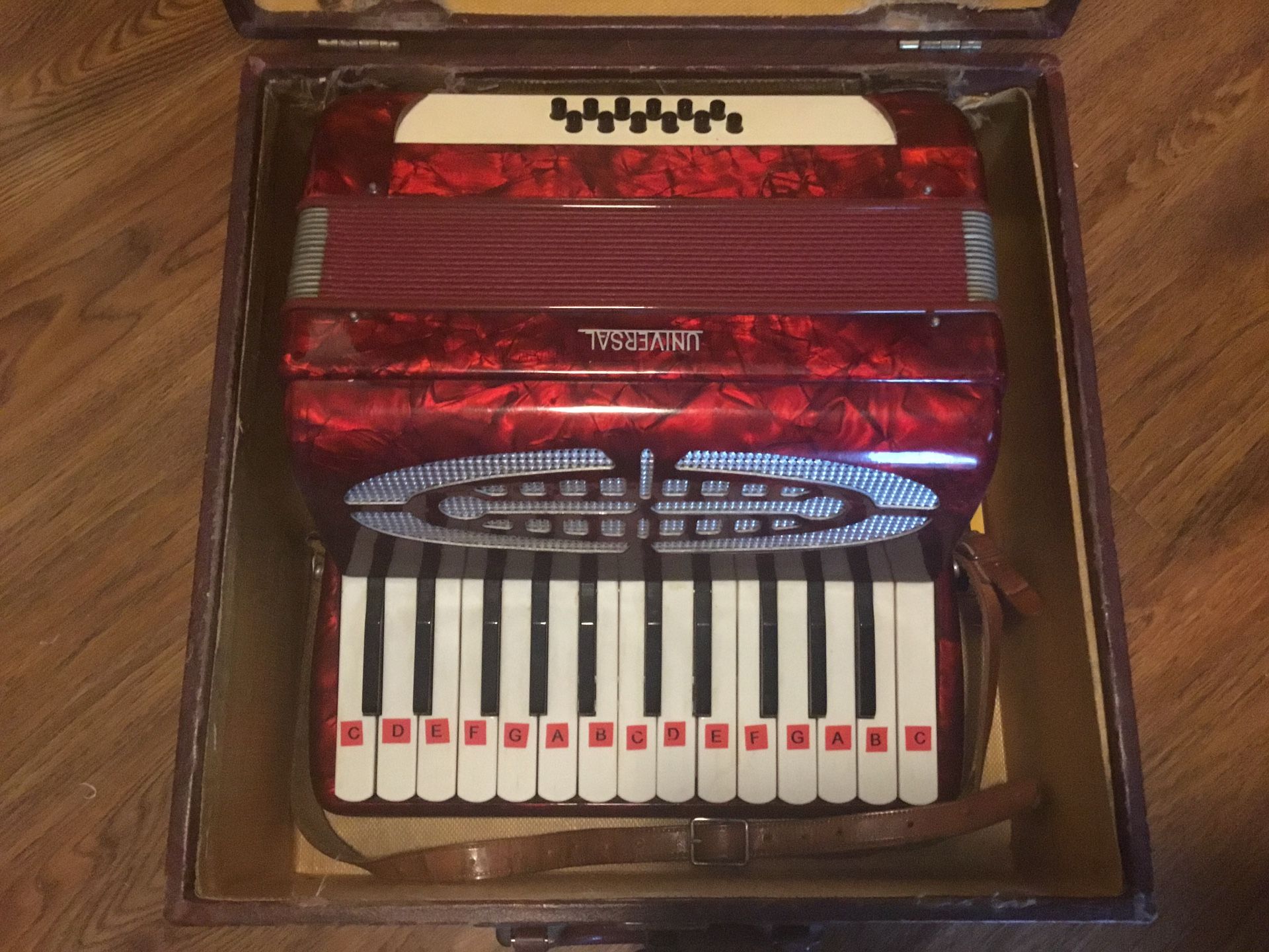 School Accordion 🪗