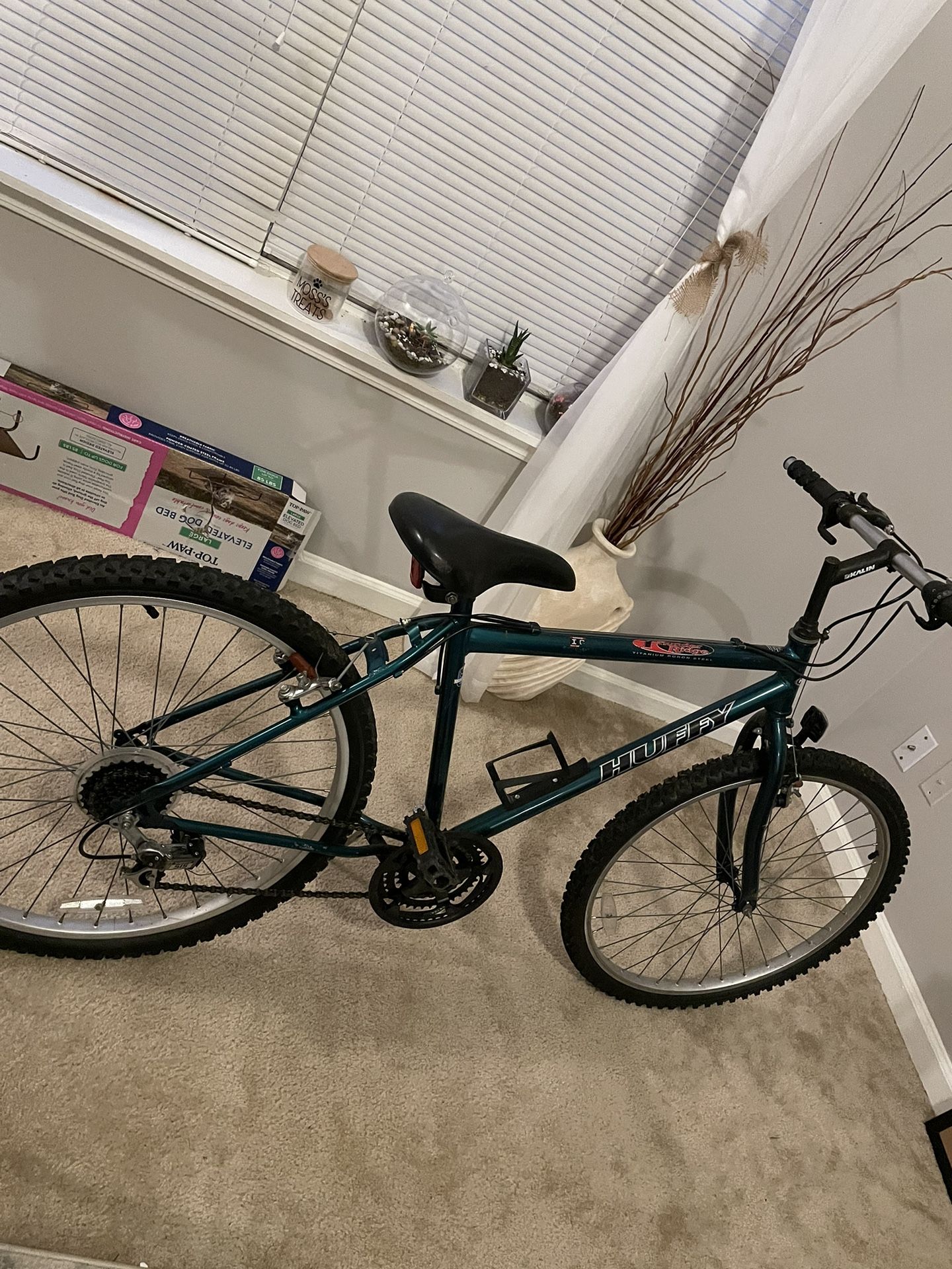 Bicycle For Sale