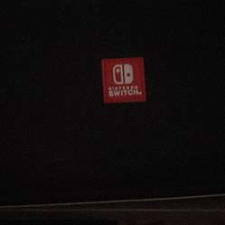 Nintendo switch case