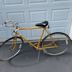 10 Speed Bike