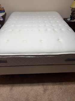Queen Bed With Mattress & Box Spring