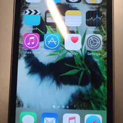 Apple iPod Touch 2nd Generation. 30 GB. Perfect shape